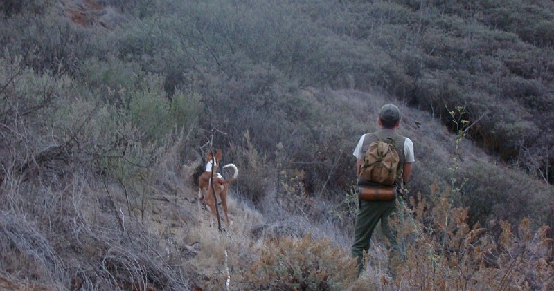 La temporada de caza en Gran Canaria comienza este 6 de agosto 