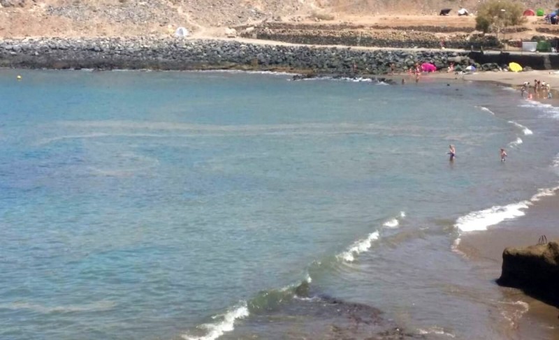 Salud P�blica desmiente que se haya cerrado alguna playa por la presencia de microalgas