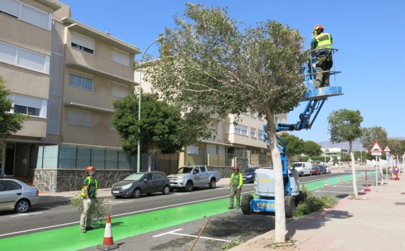 Santa Luc�a mejora el entorno urbano y comercial 