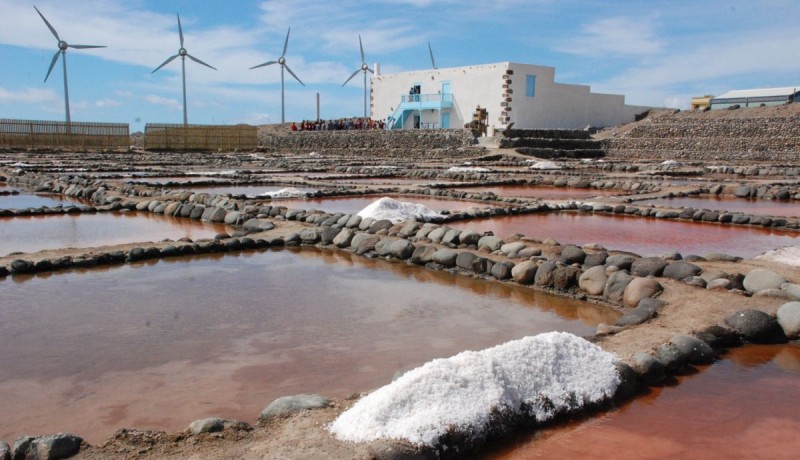 Pozo Izquierdo cierra las V Jornadas de Litoral con  una caminata guiada y la limpieza de la costa 