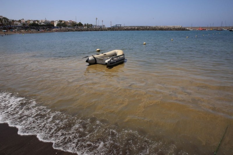 La oposici�n de Mog�n pide a Onalia Bueno que explique las medidas puestas contra las microalgas