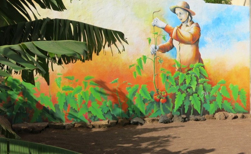 El Museo La Zafra rememora el trabajo de la mujer en la agricultura 