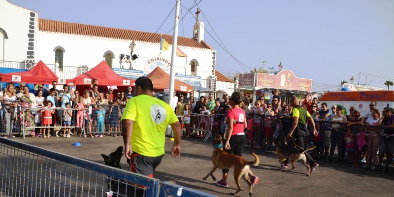 Ag�imes celebra la tercera edici�n de la Feria de Cuidados B�sicos de Mascotas 