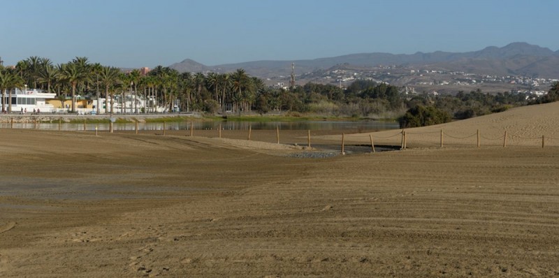 La Charca de Maspalomas sube medio metro
