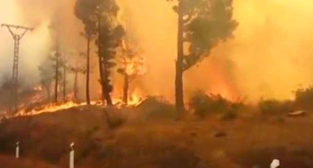 El incendio de Gran Canaria afecta ya a cinco municipios de la Isla 