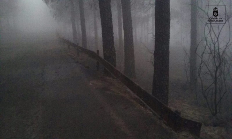 Incendio forestal de Gran Canaria ya est� controlado