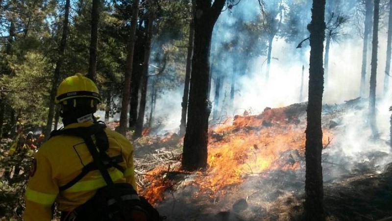 El incendio de Gran Canaria est� estable