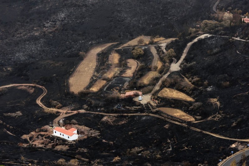 El Gobierno declara controlado el incendio de Gran Canaria 
