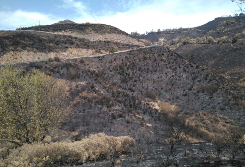 Todo apunta que el incendio de Gran Canaria fue intencionado