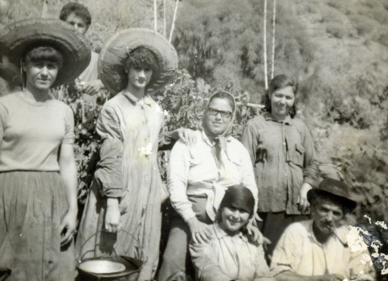 El Cabildo homenajea a las trabajadoras del empaquetado de tomates 