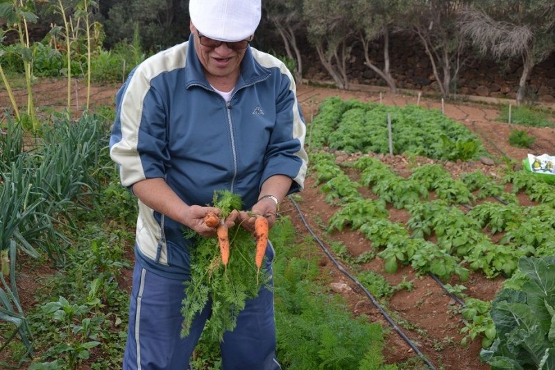 Ag�imes abre la solicitud de �Huertos comunitarios�