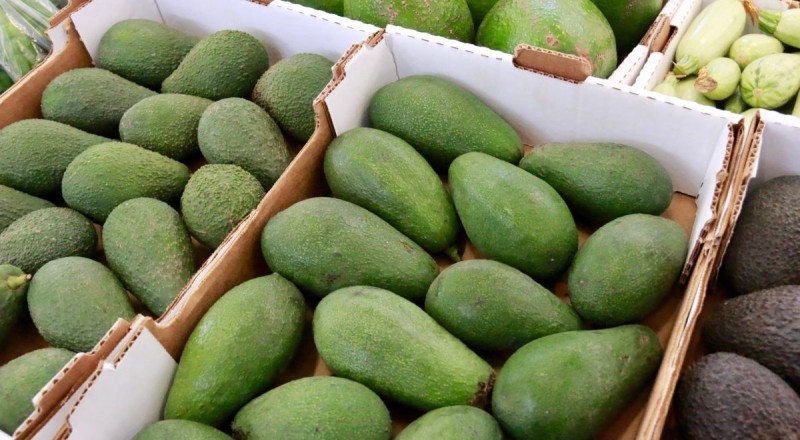 Mog�n abre el plazo de inscripci�n a participar en la III Feria del Aguacate  