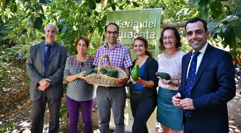 Mog�n presenta la III Feria del Aguacate de Invierno