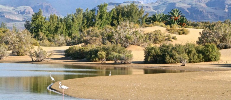 Maspalomas y Mog�n  podr�n solicitar ayudas de Destinos Tur�sticos Inteligentes