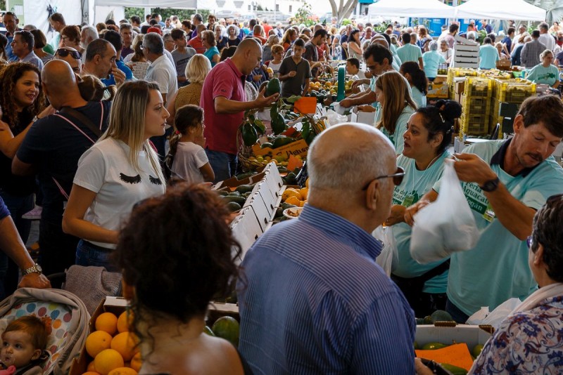 Mog�n cierra la 3� Feria del Aguacate de Invierno con la venta de m�s de 5.300 kilos