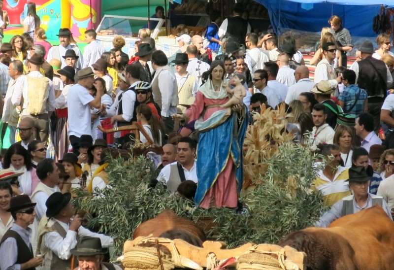 La Romer�a de Los Labradores de Santa Luc�a enaltece las ra�ces  canarias