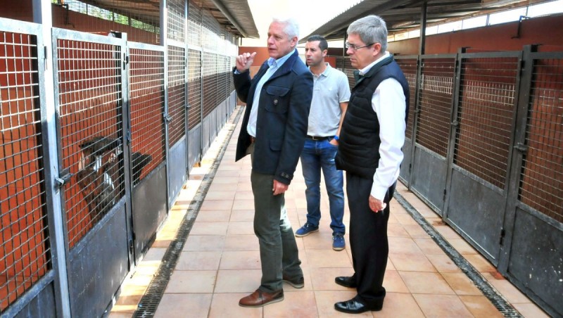 San Bartolom� acomete una primera fase de la mejora de la perrera municipal  