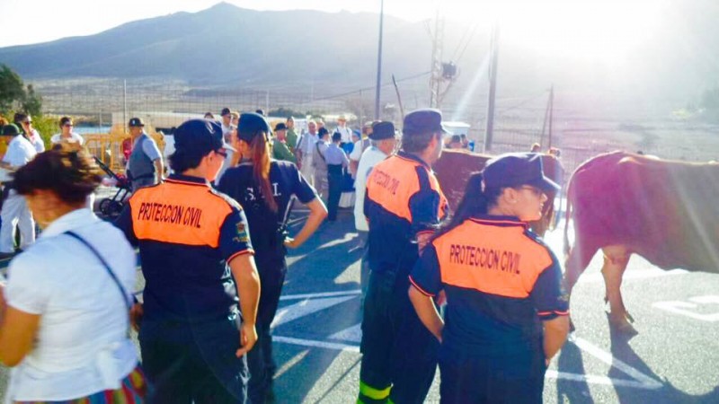 Protecci�n Civil de Ag�imes presenta la memoria de actuaciones 2017 