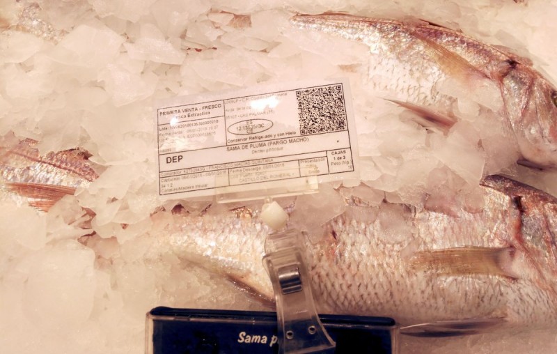 Una nueva etiqueta permite conocer el origen del pescado de primera venta de Canarias