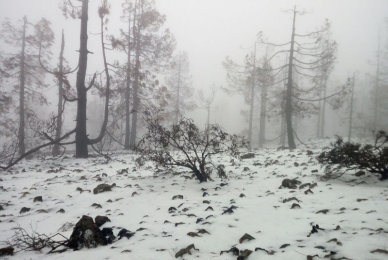El Cabildo habilitar� dos guaguas lanzaderas hasta el Pico de Las Nieves 