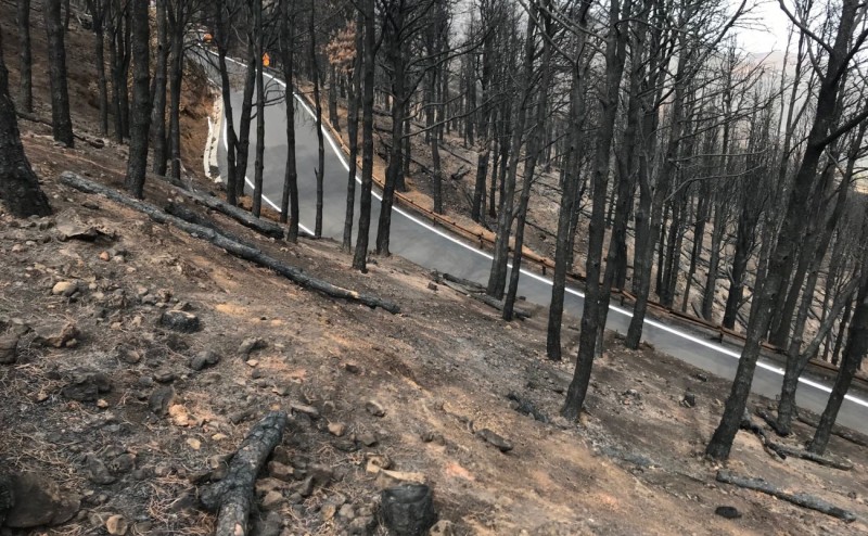 El Consejo de Ministros destina 250.000 euros para paliar los da�os del incendio en Gran Canaria