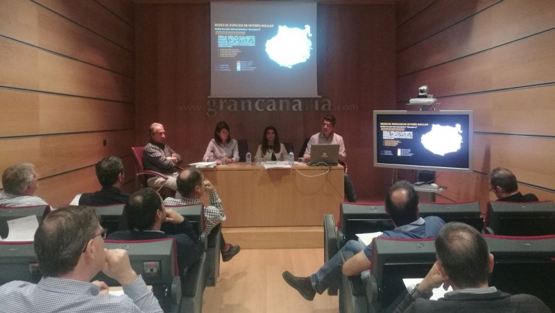 El Cabildo crear� un �rgano para la conservaci�n de las Dunas de Maspalomas 