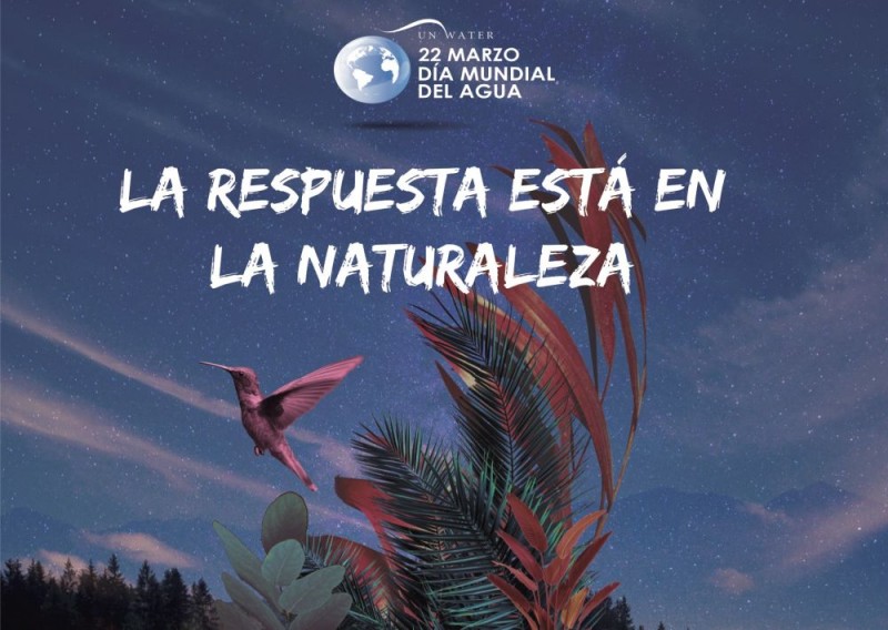 1.000 ni�os y ni�as mueren cada d�a a causa de enfermedades vinculadas con el agua