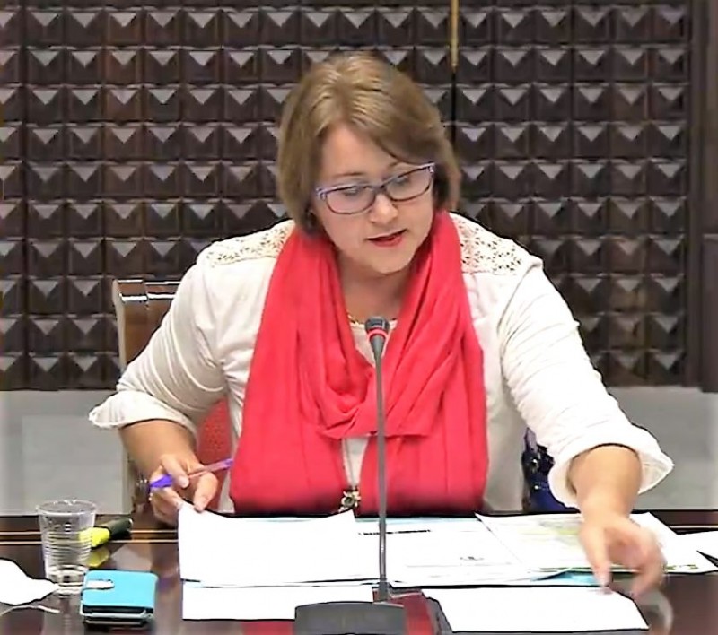 NC invita a CC, PSOE y Podemos a mejorar la tasa tur�stica en el Parlamento   