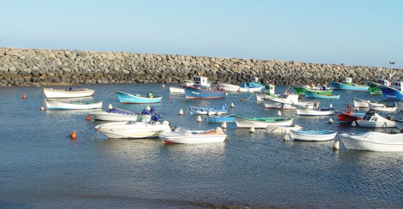 El Gobierno subvenciona con 2,4 millones de euros proyectos de desarrollo econ�mico y empleo en municipios pesqueros