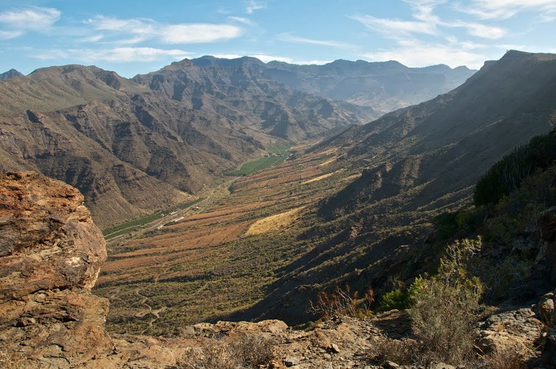 El Gobierno declara BIC con categor�a de Zona Arqueol�gica el `Lomo de las Camellitas�de Mog�n