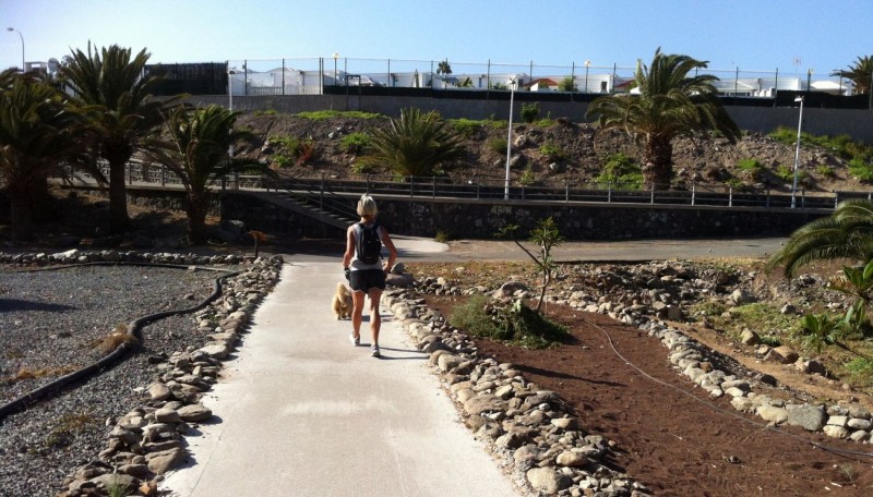 San Bartolom� de Tirajana ya sanciona las cagadas de perros