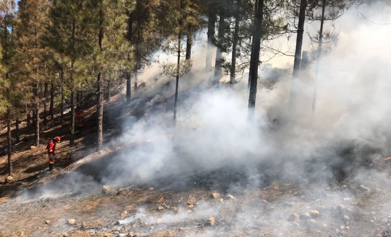 El Cabildo realiza quemas controladas en la cumbre grancanaria 