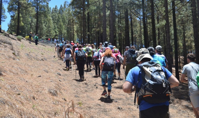 Los peregrinos de #Up2U Project Depende de Ti ya est�n en ruta