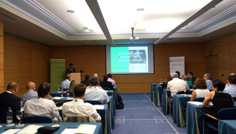 Las familias canarias dedican un 4,2% de su presupuesto a seguros