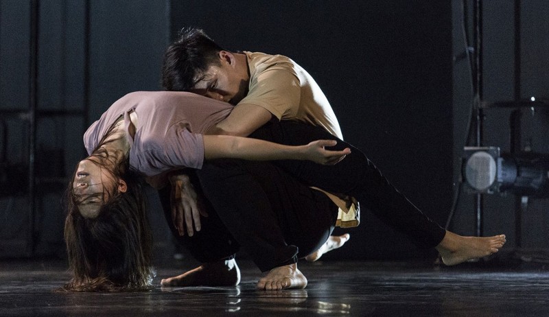 Bailarines y core�grafos de los cinco continentes se inscriben a 23MASDANZA