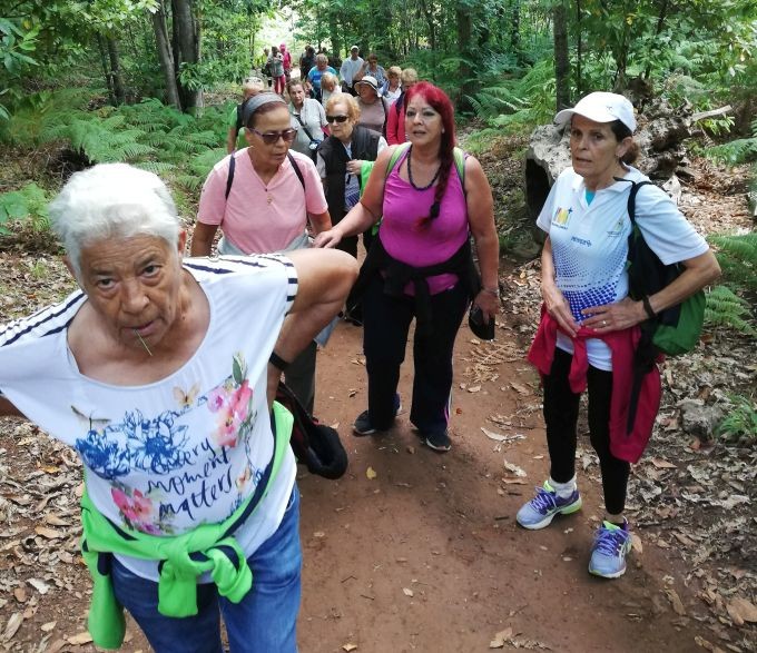 San Bartolom� de Tirajana activa y dinamiza a sus mayores