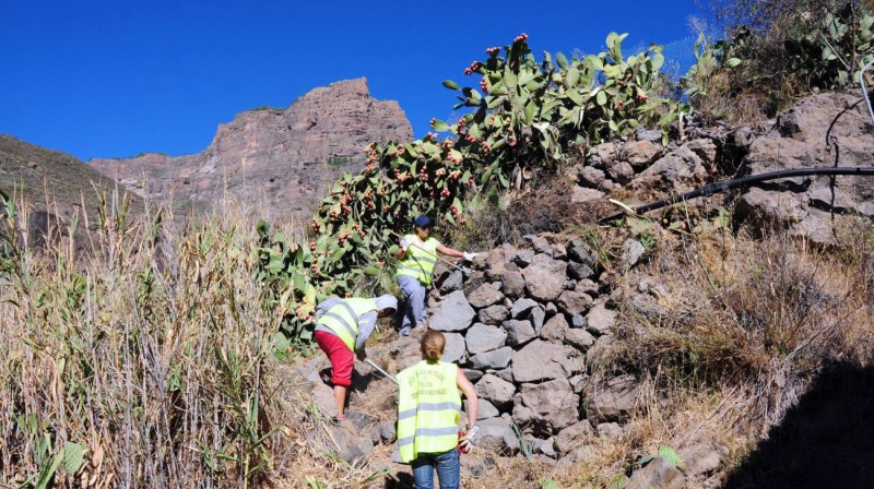 Tirajana pone en marcha la rehabilitaci�n de caminos rurales