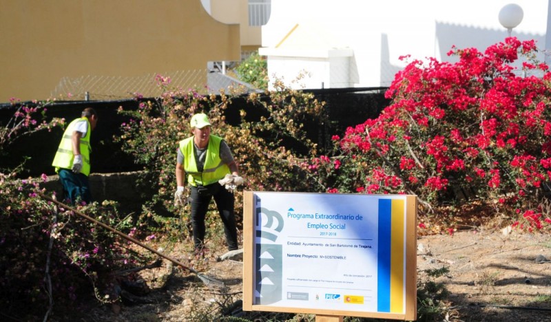 M�s de 150 desempleados culminan proyectos de reverdecimiento 