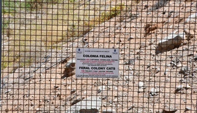 Mog�n y los voluntarios de �Proyecto C.E.S� aclaran la situaci�n de las colonias de gatos