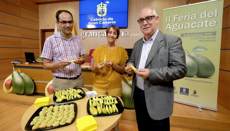 Mog�n abre la inscripci�n a III Feria del Mango y Aguacate de Verano