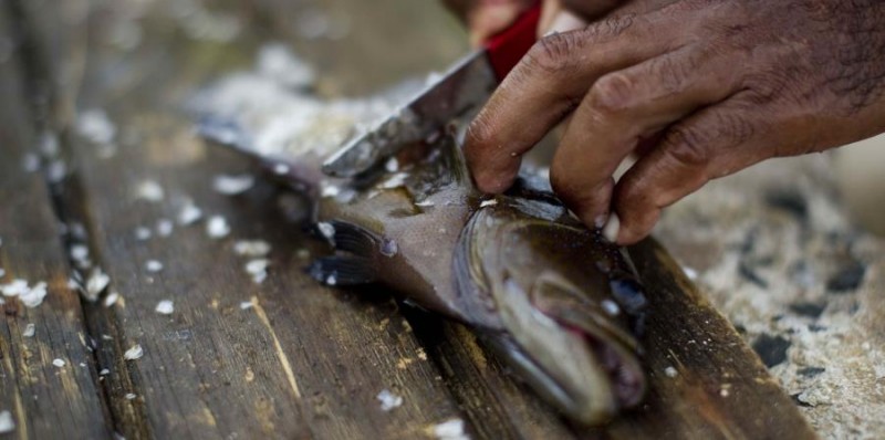 Salud P�blica informa sobre prevenci�n de la ciguatera