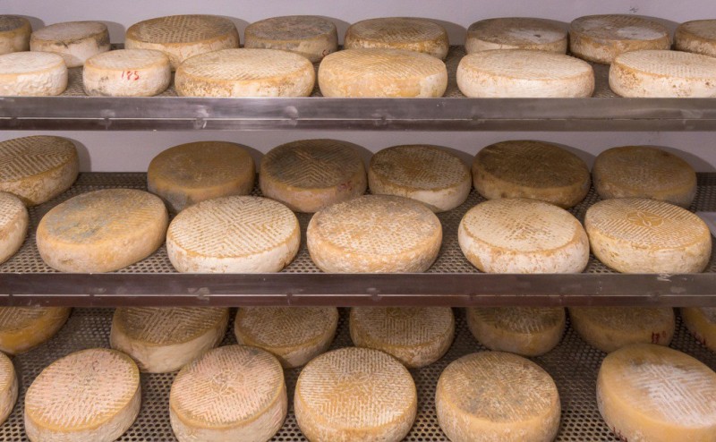 Gran Canaria alberga el mayor centro de maduraci�n de quesos artesanales de Espa�a