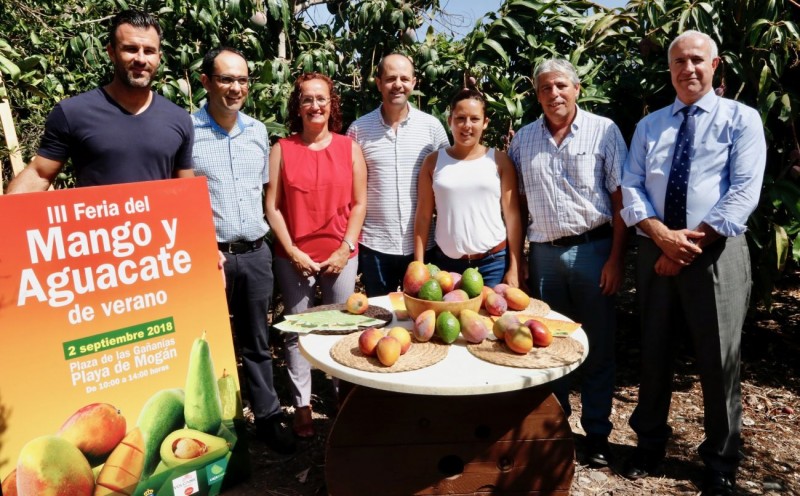 Mog�n presenta la III Feria del Mango y el Aguacate de Verano 