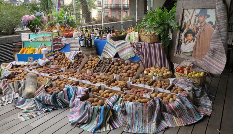 La carreta del Cabildo traslada a Teror 700 kilos de productos diversos en la Romer�a del Pino 