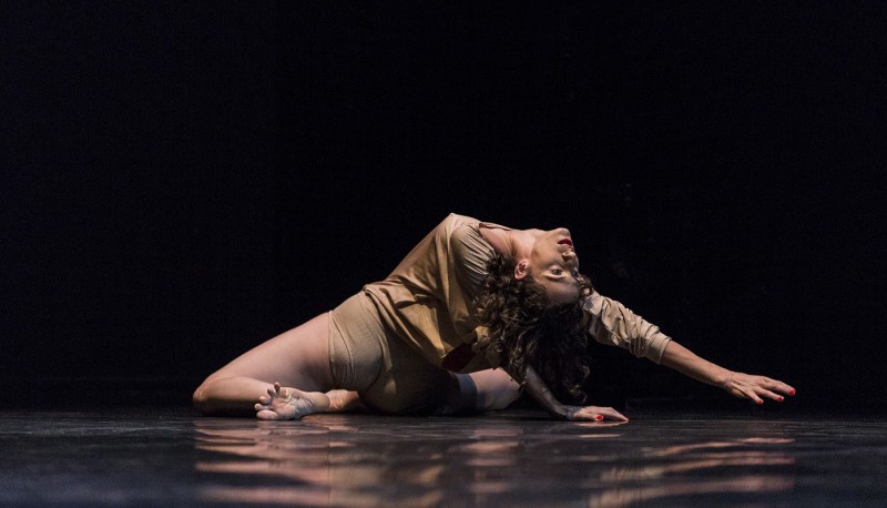 MASDANZA presenta a los seleccionados para la XXIII Edici�n del Festival