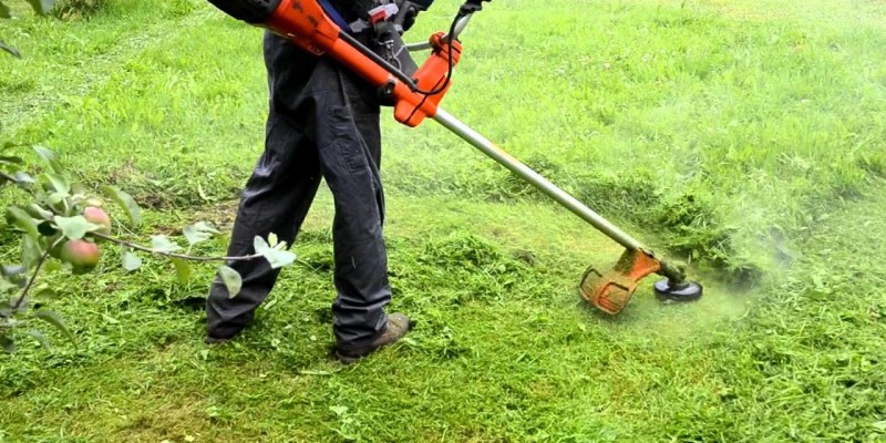 Mog�n celebrar� un curso sobre el manejo de la desbrozadora