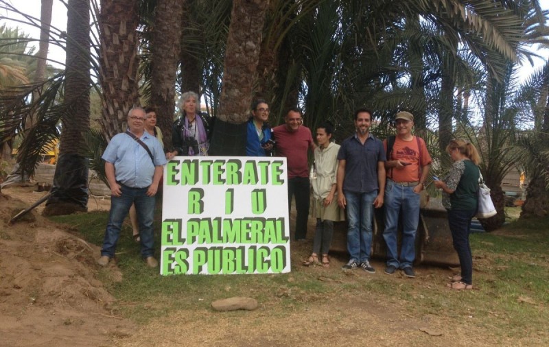 Ecologistas constituye la plataforma por la protecci�n del palmeral del Oasis de Maspalomas