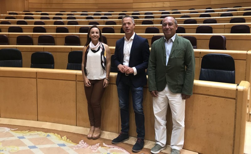 El PSOE apoyar� en el Senado el nuevo Estatuto de Autonom�a de Canarias 