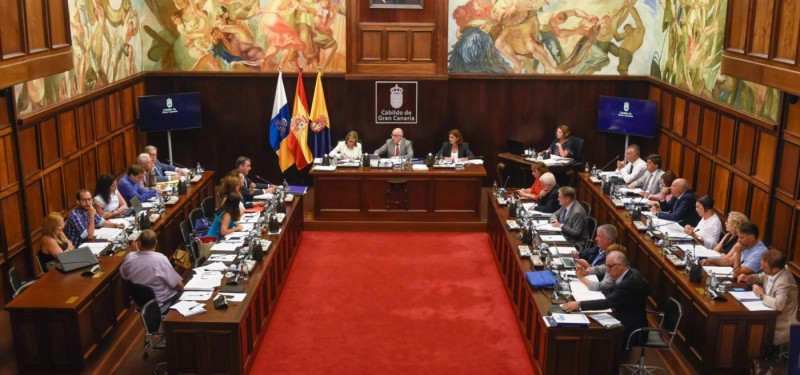 El pleno del Cabildo aprueba el primer reglamento de participaci�n ciudadana 