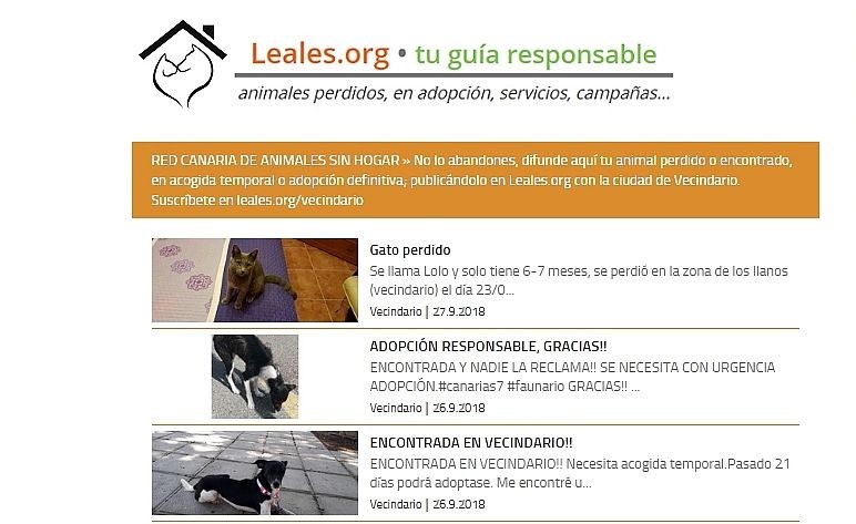 Santa Luc�a se adhiere a la plataforma Leales para adoptar animales 
